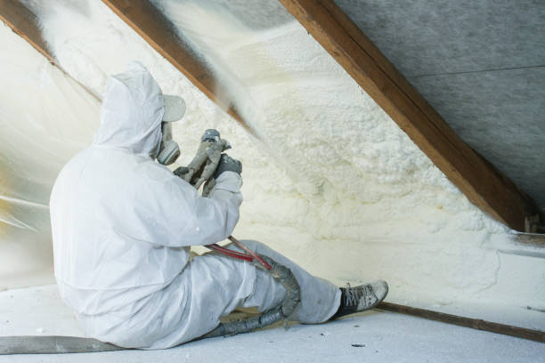 Best Commercial Insulation Services  in Scott, LA