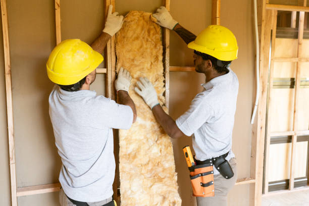 Best Eco-Friendly or Green Insulation Solutions  in Scott, LA