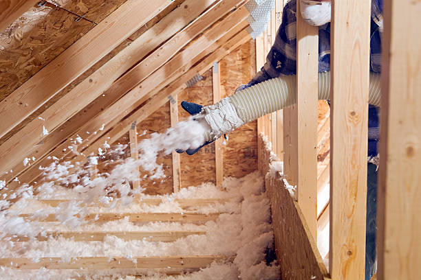 Best Insulation for Existing Homes  in Scott, LA